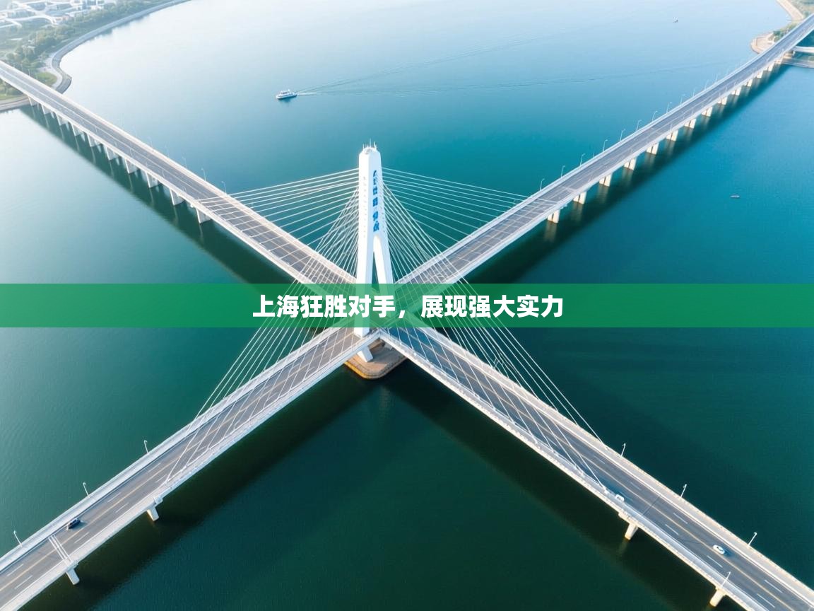 上海狂胜对手，展现强大实力  第2张